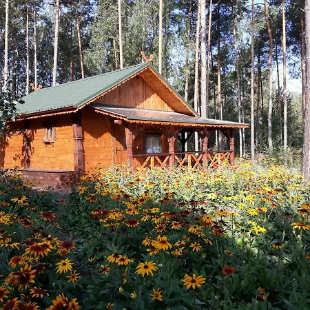 Villa Sosenka Zalas Exterior foto