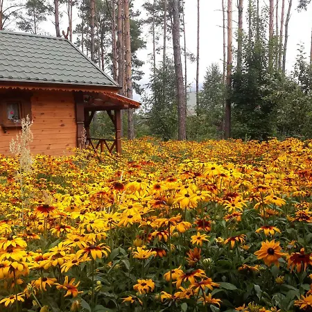 Villa Sosenka Zalas Exterior foto