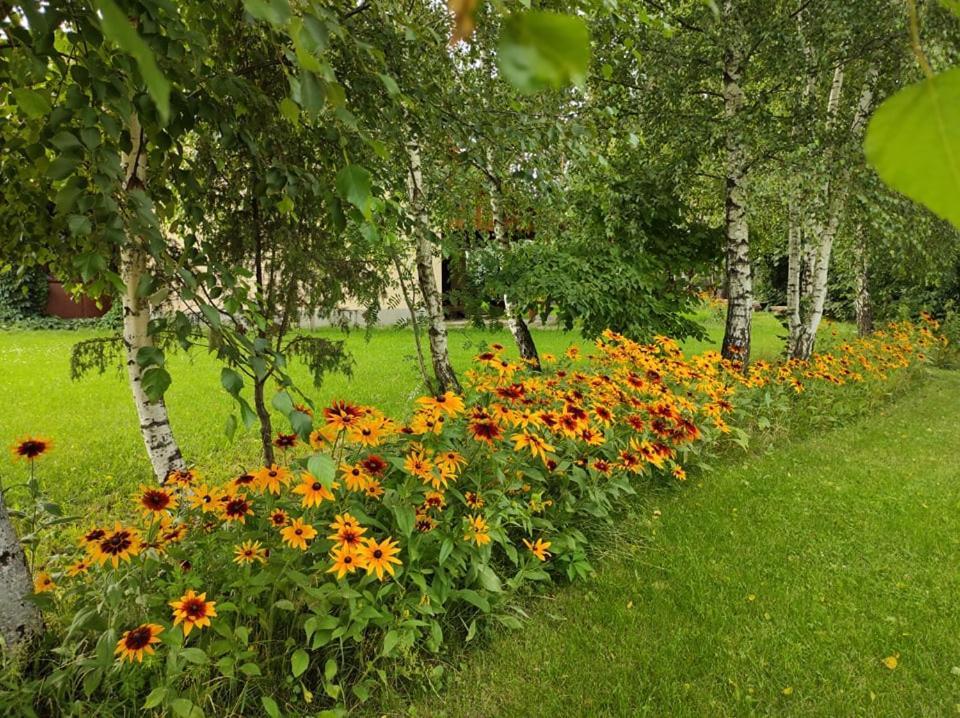 Bauernhof Sosenka Zalas