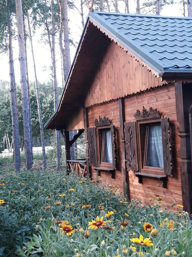 Sosenka Bauernhof Zalas
