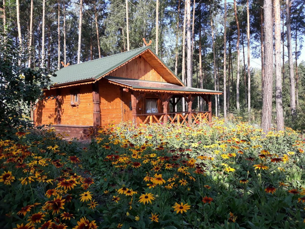 Bauernhof Sosenka